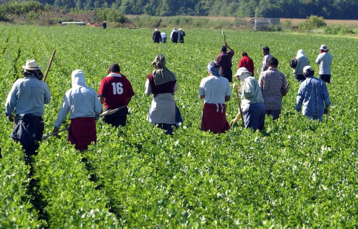 Réseau BBM AGRI